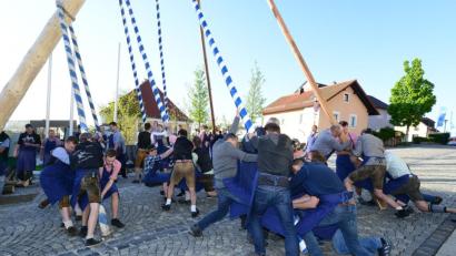 Bild: bey
Mit viel Krafteinsatz der Parksteiner Burschen steht der Maibaum schließlich.
