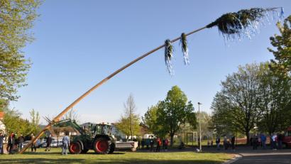 Bild: ak
Maibaum Kulmain