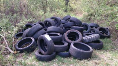 Bild: exb
In einem Waldstück zwischen Schirmitz und Bechtsrieth wurden rund 100 Reifen illegal abgeladen.