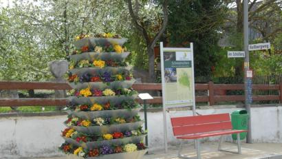 Bild: pop
Die Mitglieder des Gartenbauvereins kümmern sich jedes Jahr um die Pflanzen in der Gemeinde Schmidmühlen.