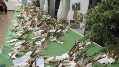 Bild: jzk
Genau betrachtet und fachmännisch kommentiert wird die Hegeschau von den Jagdgenossen des Kemnather Jagdverbandes.