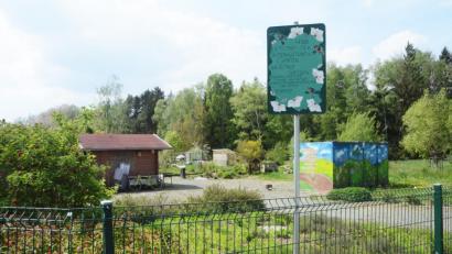 Bild: Gabi Schönberger
30 Parzellen zählt der Interkulturelle Garten, den es seit 2011 im Stockerhutweg gibt.