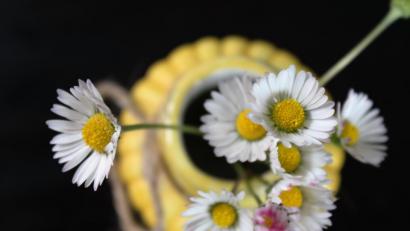 Bild: mvs
Der Muttertag 2019 naht. OWZ-Leserinnen und -Leser erzählen, wie sie diesen Tag feiern.