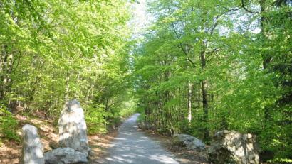 Bild: es
Der geologische Lehrpfad in Tännesberg lädt im Frühling zu einem besonders reizvollen Spaziergang ein.