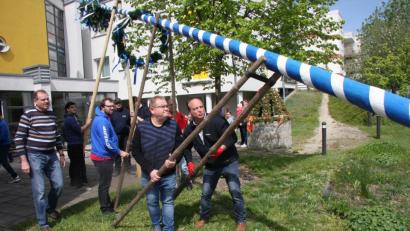 Bild: wro
Beim Maibaumaufstellen im Senioren Servicehaus halfen die starken Fuchsmühler.