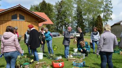Bild: bej
Bei einem großen Angebot an Pflanzen, Blumen und Co. wurde jeder fündig und konnte sich nebenbei wertvolle Tipps holen.