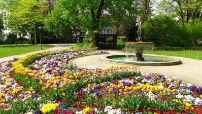 Bild: Dobmeier
Die Blütenpracht am Triton-Brunnen erfreut die Besucher im Max-Reger-Park. Nach dem "Blumenmassaker" Ende März, war jedoch nicht sofort klar, ob der Weidener Max-Reger-Park auch in diesem Jahr wieder in allen Farben blüht.