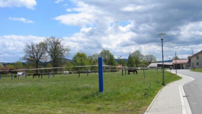 Bild: bkr
Die weitere Erschließung des Baugebiets Steinäcker wird blockiert. Grund soll die von der Unteren Immissionsschutzbehörde geforderte Auflage sein, eine Pferdekoppel mit einer drei Meter breiten Hecke einzugrünen.
