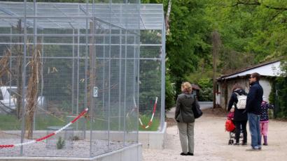 Bild: Thomas Dobler
Die neuen Vogel-Volieren in der Höllohe werden Ende nächster Woche der Öffentlichkeit vorgestellt. Zu den Pfauen, Fasanen und Störchen kommen dann auch noch zwei Schnee-Eulen, die von einem anderen Park in die Oberpfalz umziehen.