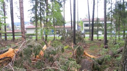 Bild: bkr
Aus- und aufgeräumte Fluren fördern nicht die Vielfalt der Fauna und Flora. Deshalb ist Todholz im Wald beim SOS-Kinderdorf gut für Vögel, Pilze und Insekten. Die Frage wird bleiben: Was macht der Borkenkäfer bei den Fichten?