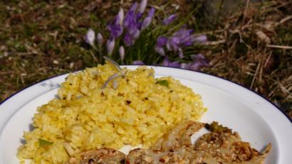 Bild: Miriam Lill
Die Fenchelscheiben werden in einer Nuss-Mischung gewendet und gebraten.