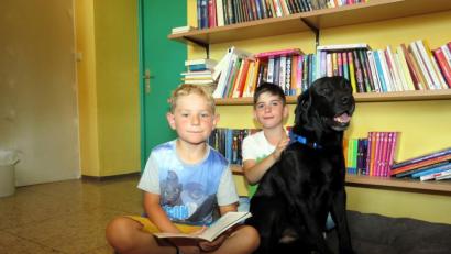 Bild: ubb
Jonas (links) und Rene sind wie alle Grundschüler sehr stolz auf Buddy, schließlich ist Mitterteich die einzige Schule im Landkreis, die einen Lesehund hat.