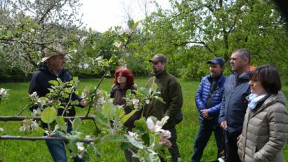 Bild: fz
Josef Bernhard (links) führt durch seine Streuobstwiesen und gibt Tipps.