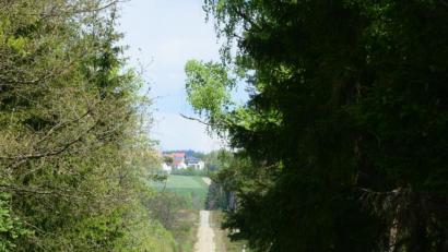 Bild: bey
Ob dieser Weg, schräg unterhalb der Hochspannungsleitung asphaltiert werden kann, muss noch geklärt werden. Die Freie Wählergemeinschaft sieht den Weg als Anbindung an den entlang der B 470.