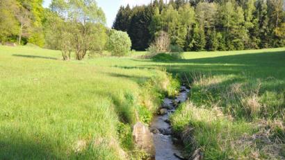 Bild: es
Der Kainzbach schlängelt sich durch das Tal.