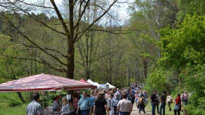 Bild: gi
Der 10. Moosbacher Gartenmarkt war am Sonntag ein Besuchermagnet. Knapp 90 Aussteller stehen entlang einer
rund 600 Meter langen „Einkaufstraße“.