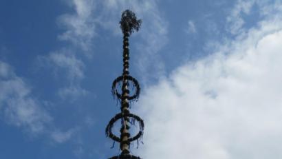 Bild: exb
Der Wiesauer Maibaum.
