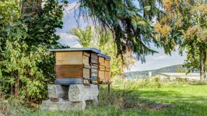 Bild: Lüdecke
"Green Company": Auf dem Firmengelände unterhält der Amberger Mittelständler Lüdecke einige Bienenstöcke. Den Honig bekommen Geschäftspartner.