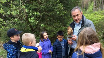 Bild: u
Förster Christoph Lauerer hatte das ausgestopfte Eichhörnchen Egon, das vor 30 Jahren von einem Auto überfahren worden war, im Wald versteckt.