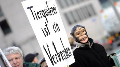Bild: Rainer Jensen dpa/lbn
"Tierquälerei ist ein Verbrechen": So wie Tierfreunde bei einer Demonstration sieht es auch die Tierschutz-Organisation Peta. Sie hat 1000 Euro Belohnung ausgesetzt für Hinweise auf den Unbekannten, der in der vergangenen Woche in Hirschau einen Streichelhasen schwer misshandelt hat.