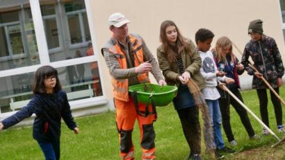 Bild: jzk
Stadtgärtner Florian Frank stand den Mittelschülern mit Rat und Tat zur Seite.