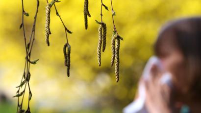 Bild: Karl-Josef Hildenbrand/dpa
In Bayern gibt es Echtzeit-Informationen zum Pollenflug.