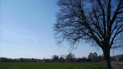 Bild: bjp
Freiberufliche Arbeit und bestimmte "nicht störende" Gewerbebetriebe werden in der Kirschbaumackersiedlung erlaubt sein: Dies stellte Bürgermeisterin Carmen Pepiuk in der Gemeinderatssitzung klar.