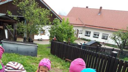 Bild: jzk
Auf dem Bauernhof gefiel es den Waldbären sehr gut.