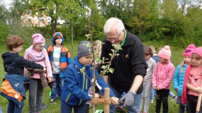 Bild: u
Zur zweiten Klimaschutzwoche des Landkreises pflanzten Hirschauer Erst- und Zweitklässler auf dem Schulgelände einen Carola-Apfelbaum. OGV-Vorsitzender Roland Maier unterstützte sie.