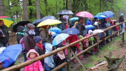 Bild: mez
Den großen und kleinen Gästen gefiel es trotz des schlechten Wetters gut im Wildpark.
