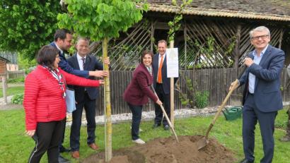 Bild: Hirsch
Europa-Abgeordnete Ulrike Müller (Mitte) pflanzte mit ihren Parteikollegen von den Freien Wählern im Guten-Hirten-Garten einen "Inklusions-Nussbaum".