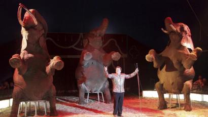 Bild: Zirkus Afrika
Die Elefanten-Dressur ist einer der Höhepunkte der Darbietungen des Zirkus Afrika.