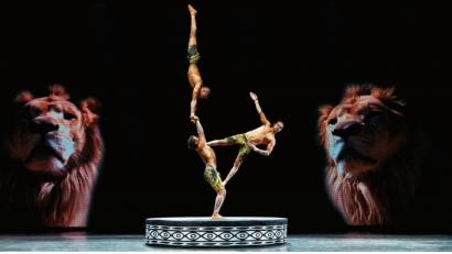 Bild: exb/Circus Afrika
Akrobaten präsentieren künstlerische Choreographien.
