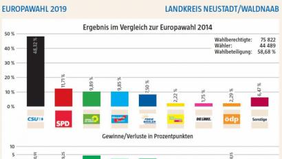 Bild: dnt_red
Die Ergebnisse der Europawahl im Landkreis Neustadt/WN.