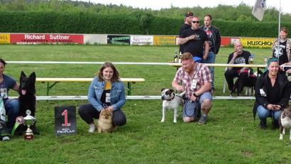 Bild: Dobmeier
Sieger „Best of Show“ 1. Weidener Mischlings- und Rassehundeausstellung (links) der altdeutsche Schäferhund in schwarz „Thor“ mit Frauchen Sandra Schiller aus Bärnau und die weiteren drei gleichplatzierten Spitzenhunde ihrer Klassen.