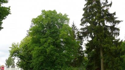 Bild: kgg
Andreas Andörfer hat das Grundstück oberhalb der Glashütte erworben.