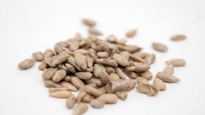 Bild: dpa/Andrea Warnecke
Symbolbild