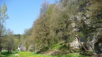 Bild: e
Das Pürschläger Tal, ein landschaftliches Juwel, sowohl botanisch als auch geologisch bedeutend, hätte Gemeinderat Horst Buhl gerne noch attraktiver gemacht. Für seinen Antrag fand sich im Gemeinderat jedoch keine Mehrheit.