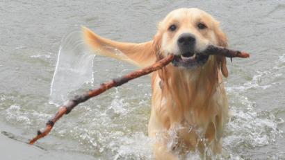 Bild: Kunz
Symbolbild