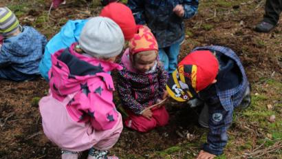 Bild: Susanne Forster
Kleine Entdecker erkunden den Waldboden.