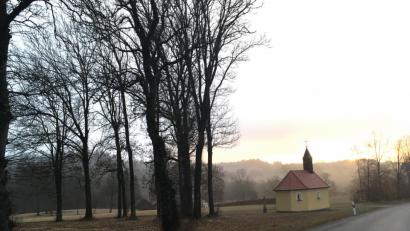 Bild: fvo
Der Blick aufs Zottbachtal am frühen Morgen. Ob hier noch Fankerln, wie sie der Volkskundler Franz Xaver von Schönwerth beschreibt, anzutreffen sind, ist mehr als fraglich.