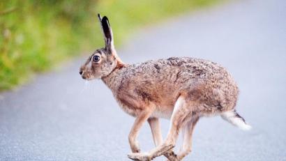 Symbolbild: Julian Stratenschulte/dpa