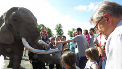Bild: ubb
Auch in der Pause wollten die Kinder hauptsächlich die Elefanten sehen und füttern.