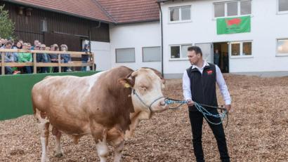 Bild: dtr
Ein Vorzeige-Exemplar der Besamungsstation ist der neunjährige Bulle "Waldler" aus der Zucht von Thomas Scharnagl aus Mähring.
