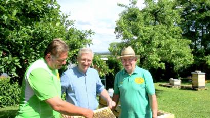 Bild: njn
Zweiter Bürgermeister Johannes Reger (mitte), Rudi Gürtler (rechts) und Klaus Schmidt (links) kontrollieren die Bienenvölker der der Probeimker auf „Weiselrichtigkeit“, dem Vorhandensein einer Bienenkönigin.