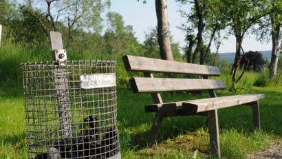 Bild: bey
Die Hundebesitzer sammeln die Exkremente ihrer Vierbeiner ordentlich in den schwarzen Plastiktüten ein. Doch die nachfolgende Entsorgung in den offenen Abfallkörben bringt gerade bei den heißen Temperaturen eine extreme Geruchsbelästigung mit sich. Geschlossene Behälter könnten dieses Problem beseitigen, meinte Stadtrat Josef Windirsch.
