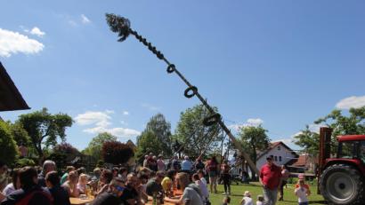 Bild: ral
Mit dem Baum aufstellen fing die Kirchweih an Christi Himmelfahrt an.