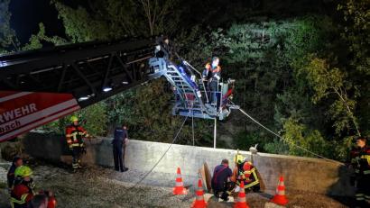 Bild: Alexander Auer
Mit einer Drehleiter retten Feuerwehrmänner einen Hund aus einer zehn Meter tiefen Kiesgrube in Bad Abbach.