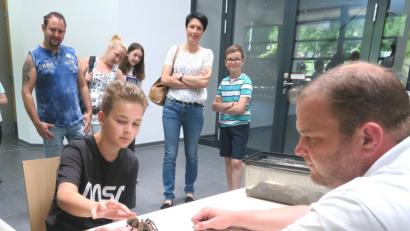 Bild: Hirsch
Mutig, mutig: Der elfjährige Louis aus Wackersdorf streichelt eine Riesenspinne.