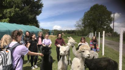 Bild: jzk
Viel Spaß hatten die Sechstklässler mit den Alpakas auf dem Mitterhof in Waldsassen.
